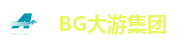 BG大游(集团)唯一官方网站